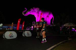 BIB: 
                            <button type="button" onclick="openModal(26535271)" class="btn btn-primary btn-sm float-right btn-popup" data-toggle="modal" data-target=".modal-high-quality">
                        <i class="fas fa-shopping-cart"></i> Add to Cart
                    </button>
                                            <button type="button" onclick="isThisMe(26535271, true)" class="btn btn-success btn-sm float-right btn-popup btn-isme hidden" data-toggle="tooltip" data-placement="bottom" title="นี่คือรูปของคุณใช่ไหม คลิกที่นี่เพื่อเอาเข้าอัลบั้ม">
                        <i class="fas fa-plus"></i> Add to album
                    </button>
                    <button type="button" onclick="isThisMe(26535271, false)" class="btn btn-warning btn-sm float-right btn-popup btn-isnotme hidden">
                        <i class="fas fa-ban"></i> Remove from album
                    </button>